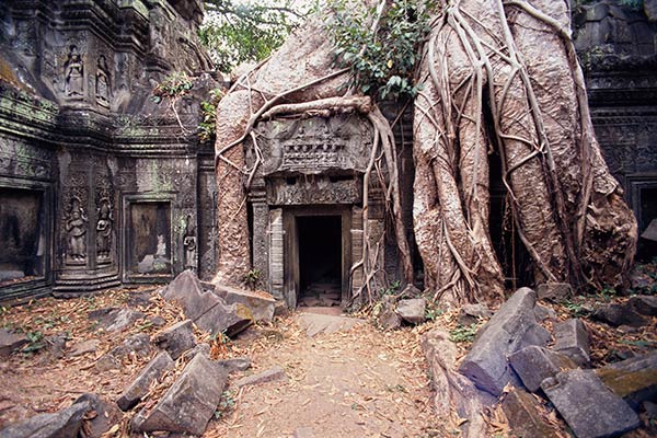 Temple of Ta Prohm, Angkor, Cambodia