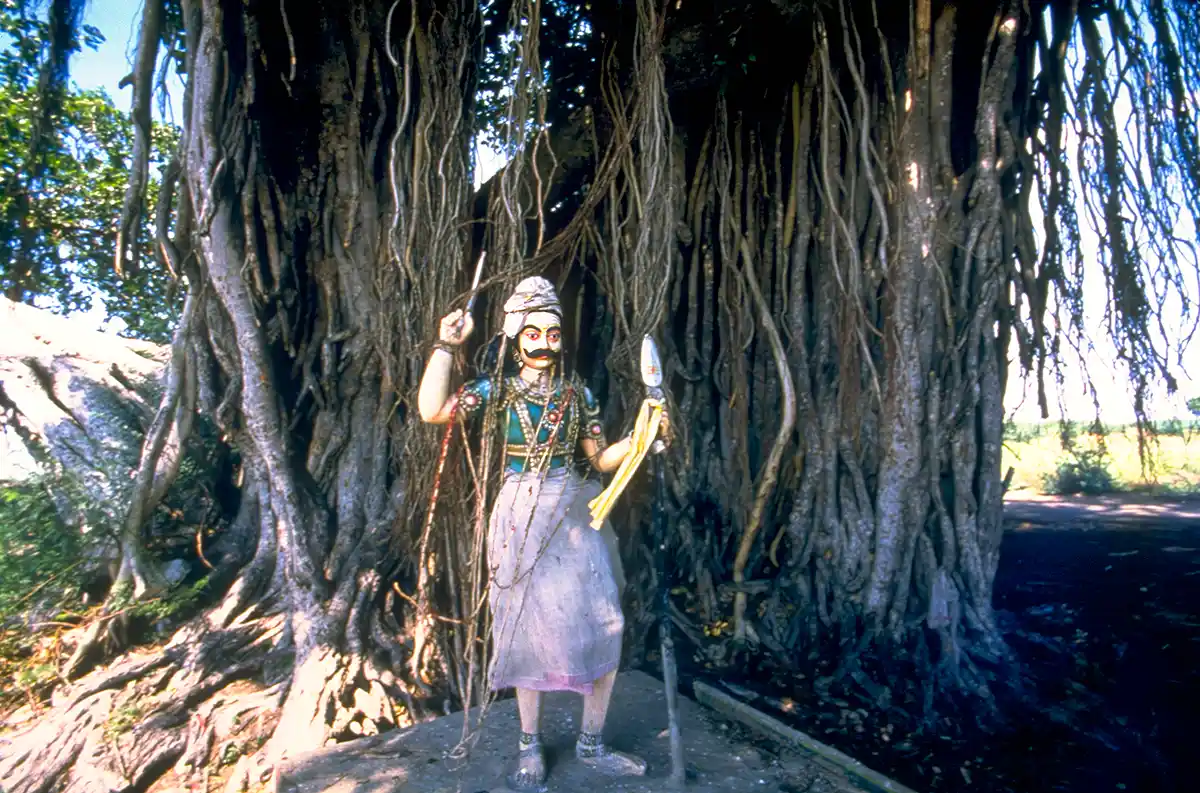 Sacred tree and resident deity Sacred tree and resident deity