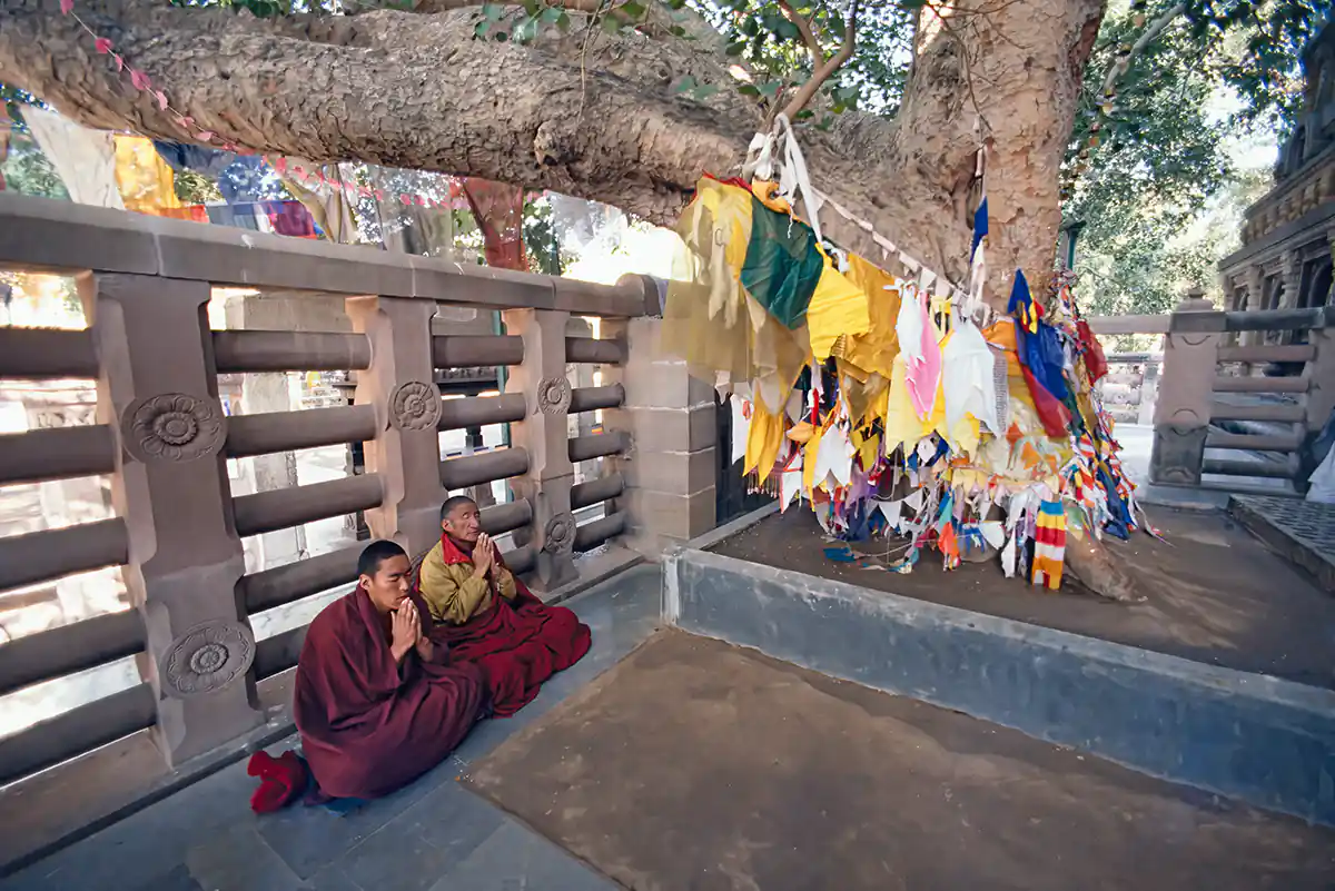 Buddhist Monks at Bodhi Tree (The site of Buddha's enlightenment) Buddhist Monks at Bodhi Tree (The site of Buddha's enlightenment)