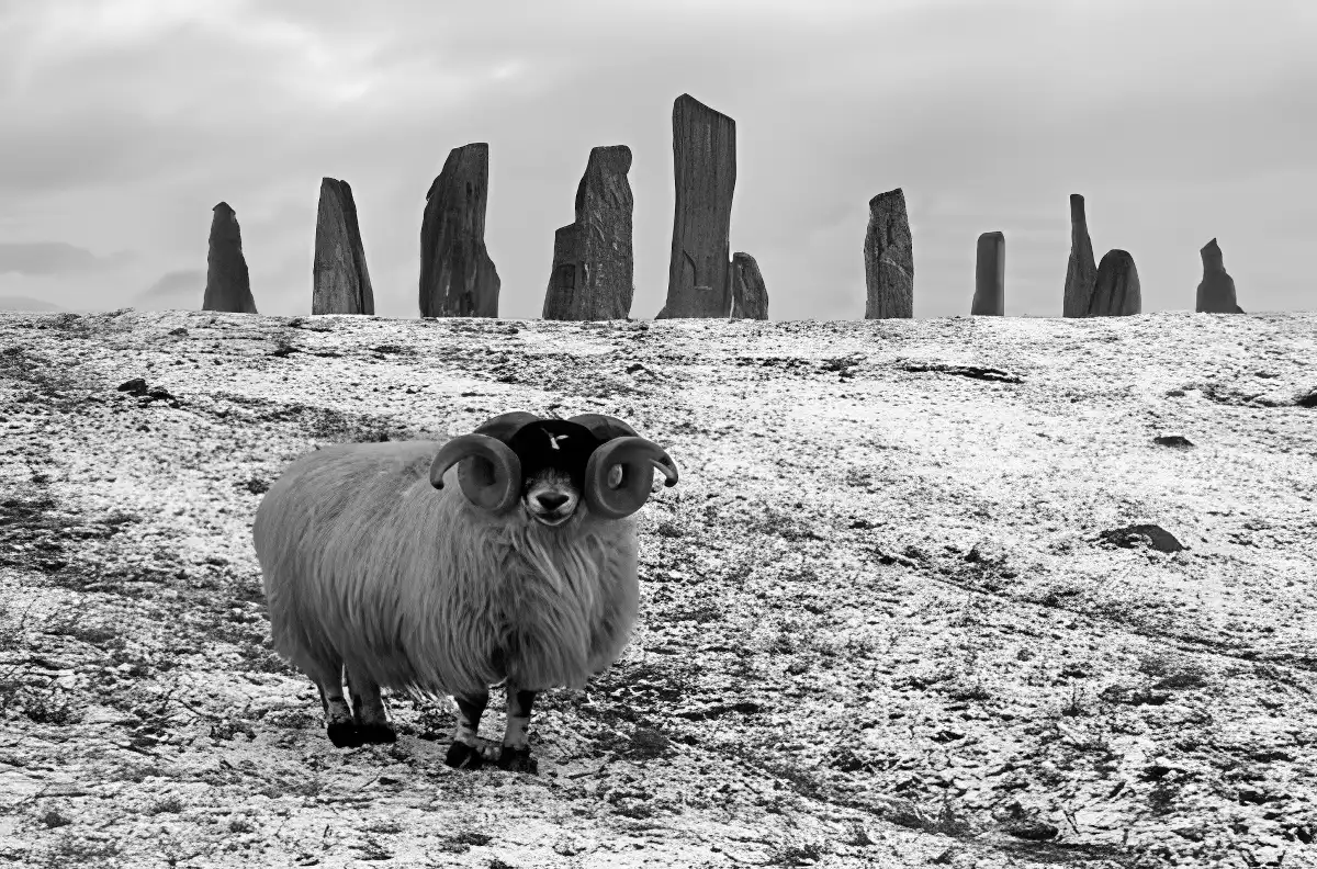 The stone ring of Callanish, Isle of Lewis, Outer Hebrides, Scotland <br>(Photograph by Donald Macleod) The stone ring of Callanish, Isle of Lewis, Outer Hebrides, Scotland