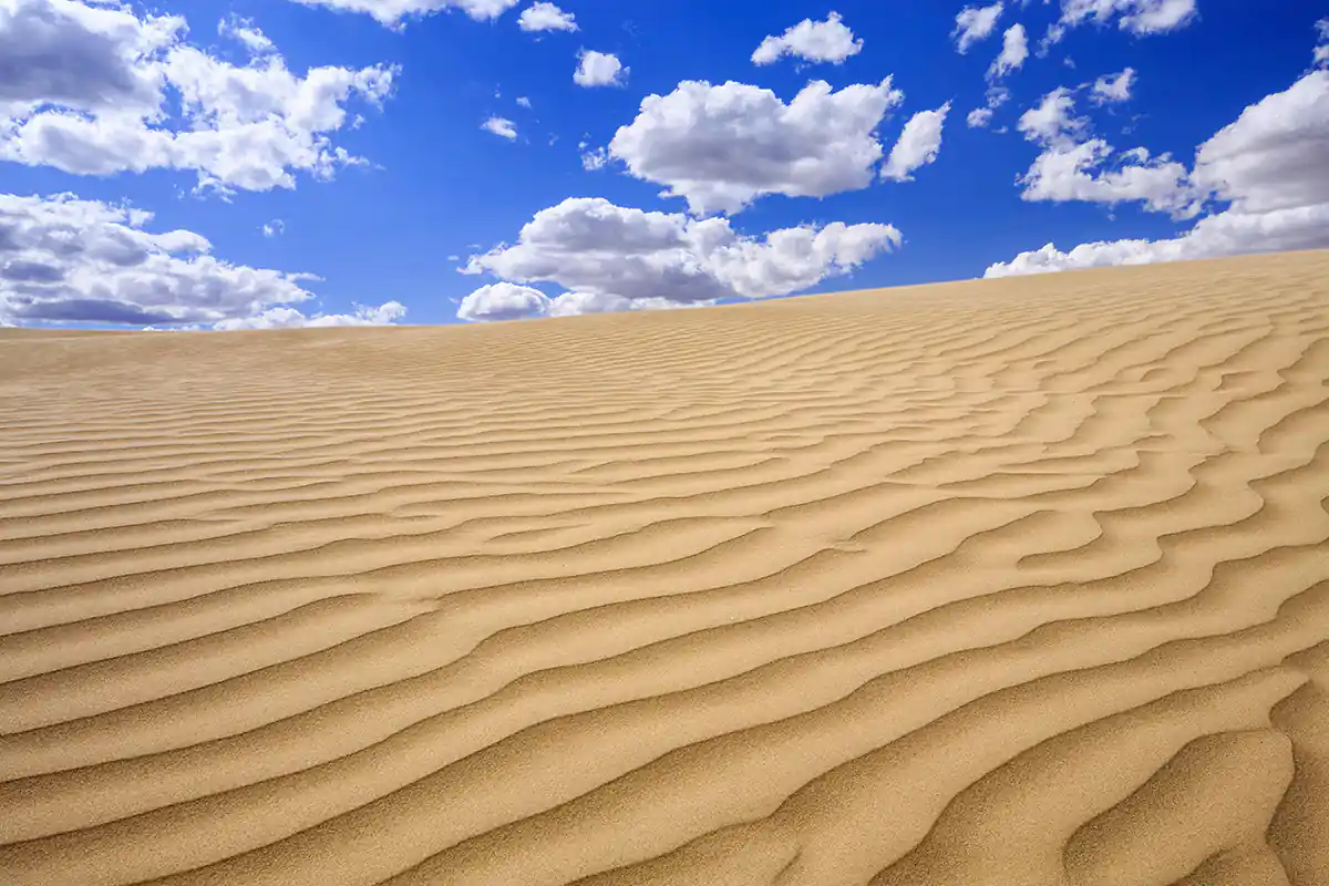 Great Sandhills, Saskatchewan