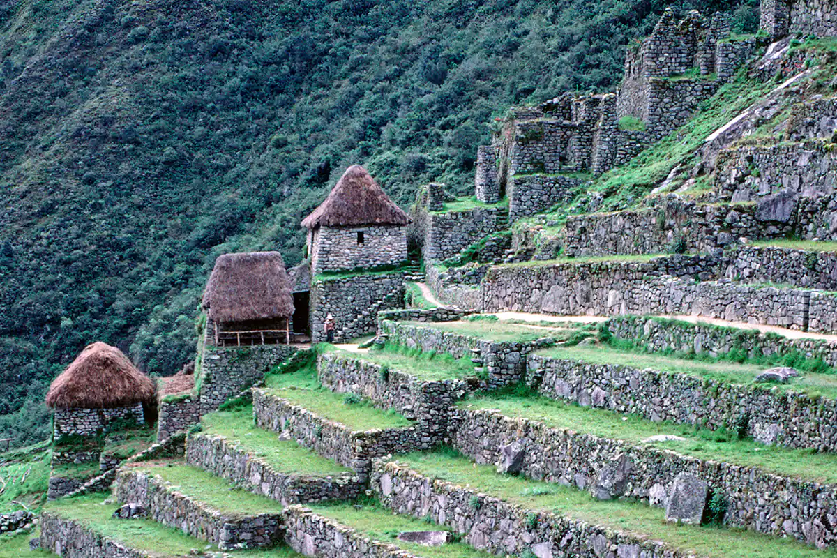 Machu Picchu
